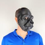 Vorschaubild