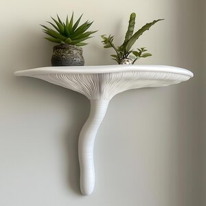 3D-gedrucktes Artist's-Conk-Wandregal | Botanisches Display