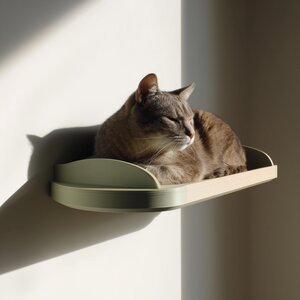 3D-gedrucktes minimalistisches Katzen-Wandbett | Geschwungener schwebender Sitzplatz