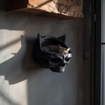 Vorschaubild