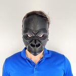 Vorschaubild